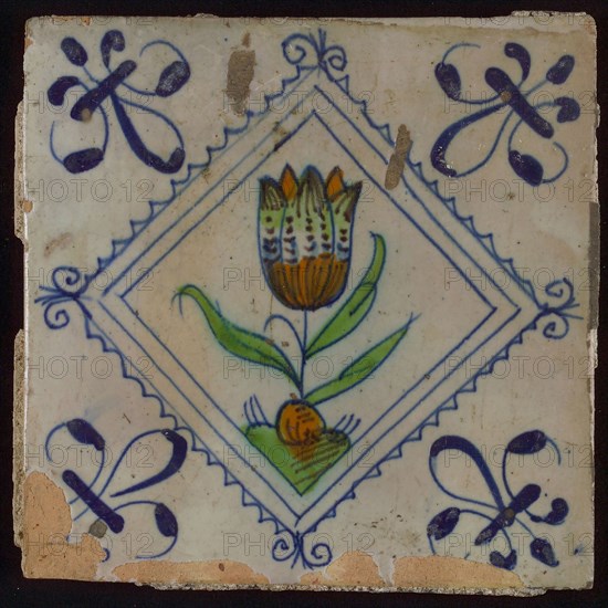 Tile, tulip on ground in orange, brown, green and blue on white, inside serrated square with plume, corner pattern french lily