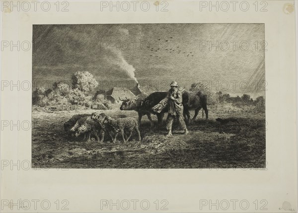The Storm, 1866, Charles Émile Jacque, French, 1813-1894, France, Etching, drypoint, roulette, and burin on paper, 213 × 344 mm (image), 257 × 385 mm (plate), 313 × 434 mm (sheet)