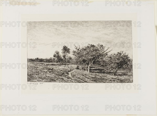 Apple Trees at Auvers, 1877, Charles François Daubigny, French, 1817-1878, France, Etching on chine collé on paper, 144 × 242 mm (image), 197 × 281 mm (plate), 264 × 355 mm (sheet)