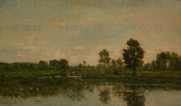 The Marsh, 1871, Charles François Daubigny, French, 1817-1878, France, Oil on panel, 34.4 × 58.2 cm (13 9/16 × 22 15/16 in.)
