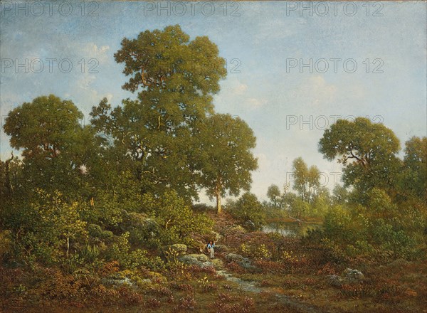 Springtime, c. 1860, Théodore Rousseau, French, 1812-1867, France, Oil on panel, 42.2 × 54 cm (15 5/8 × 21 1/4 in.)