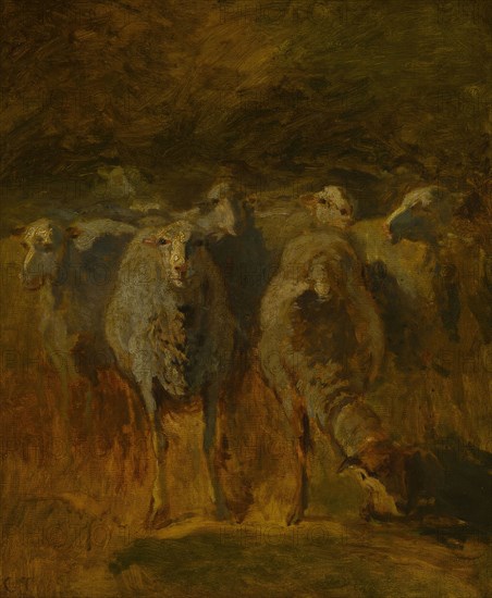 Unfinished Study of Sheep, c. 1850, Constant Troyon, French, 1810-1865, France, Oil on canvas, 45.8 × 37.8 cm (18 × 14 7/8 in.)