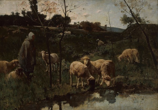 Landscape with Sheep, Picardy, late 19th century, Harry Thompson, British, died 1901, England, Oil on canvas, 82.2 × 117.5 cm (32 3/8 × 46 1/4 in.)