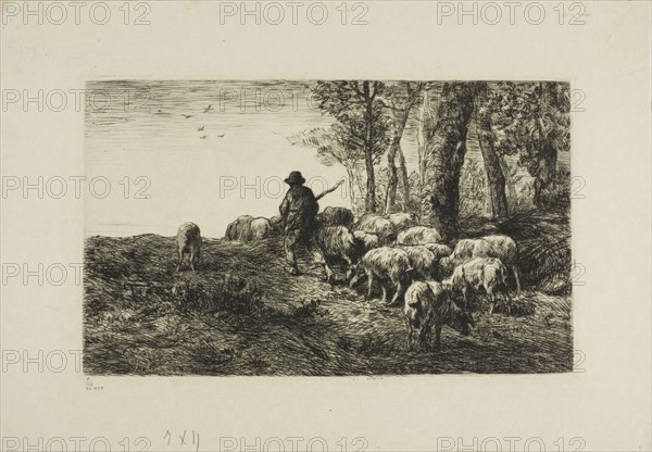 Man with Herd of Pigs, c. 1866, Charles Émile Jacque, French, 1813-1894, France, Etching and drypoint on paper, 155 × 257 mm (image), 159 × 262 mm (plate), 238 × 343 mm (sheet)
