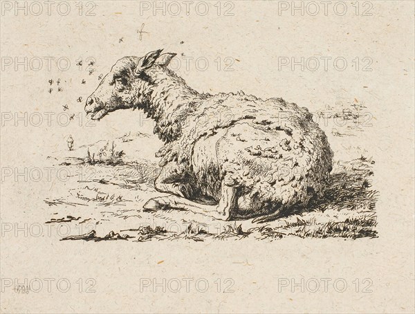 The Sheep and the Flies, 1849, Charles Meryon (French, 1821-1868), after Karel Dujardin (Dutch, c.1622-1678), France, Etching on grayish tan laid China paper, laid down on ivory wove card, 66 × 98 mm (image), 95 × 125 mm (sheet)
