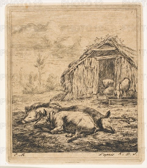 Three Pigs Lying in Front of a Shed, 1850, Charles Meryon (French, 1821-1868), after Karel Dujardin (Dutch, c.1622-1678), France, Etching on tan wove chine, 162 × 139 mm (image), 162 × 139 mm (plate)