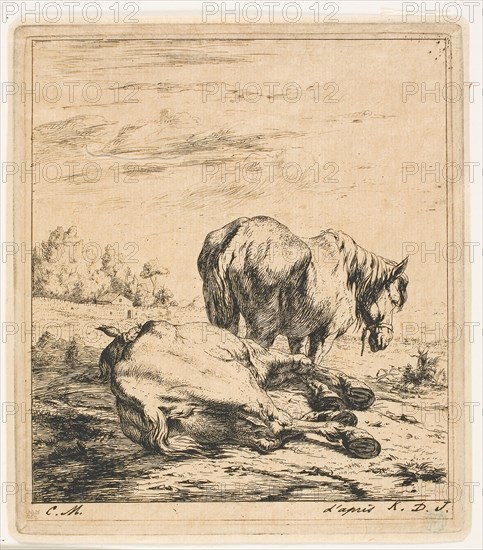 The Two Horses, 1850, Charles Meryon (French, 1821-1868), after Karel Dujardin (Dutch, c.1622-1678), France, Etching and drypoint on tan wove paper, 162 × 143 mm (image), 162 × 143 mm (plate), 167 × 148 mm (sheet)