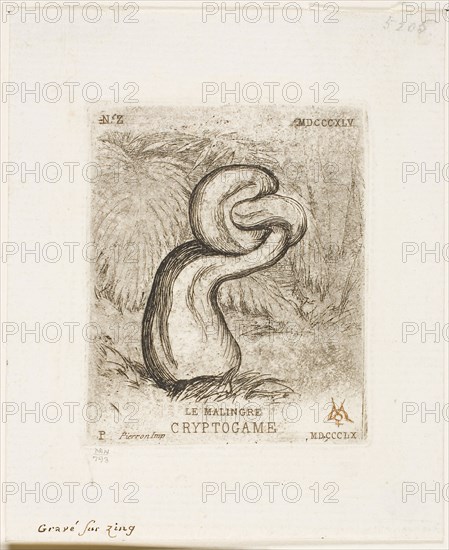 The Sickly Cryptogam, 1860, Charles Meryon (French, 1821-1868), printed by Pierron (French, 19th century), France, Etching, with plate tone, in black ink on ivory laid paper, printing à la poupée in red ink, 70 × 59 mm (image), 70 × 59 mm (plate), 109 × 90 mm (sheet)