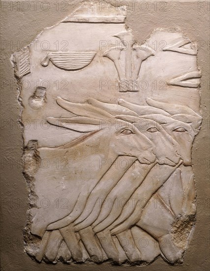 Fragment of a Tomb Wall Depicting Donkeys, Old Kingdom, Dynasty 5 (about 2504–2347 BC), Egyptian, Egypt, Limestone, pigment, 28 × 21 × 9.5 cm (11 × 8 1/4 × 3 3/4 in.)