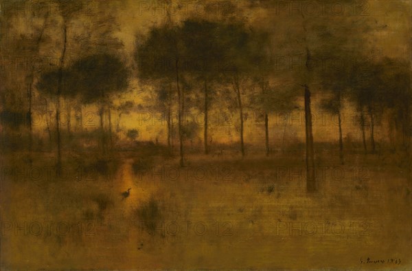 The Home of the Heron, 1893, George Inness, American, 1825–1894, Florida, Oil on canvas, 76.2 × 115.2 cm (30 × 45 in.)