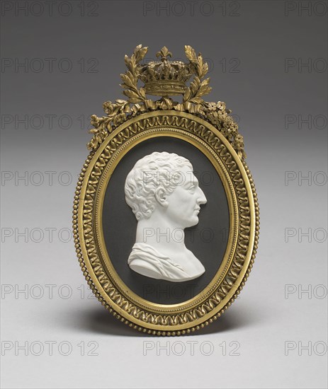 George Washington, c. 1790, Wedgwood Manufactory, England, founded 1759, After a medal designed by François-Marie Arouet, known as Voltaire, French, 1694-1778, Etruria, Staffordshire, England, Burslem, Stoneware (jasperware), gilt metal frame, 18.4 × 12.1 cm (7 1/4 × 4 3/4 in.)