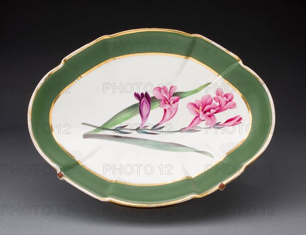 Dish, 1794, Davenport Pottery and Porcelain Factories, English, c.1793-1887, Longport, Soft-paste porcelain with polychrome enamels and gilding, 29.3 x 21.6 cm (11 1/2 x 8 1/2 in.)