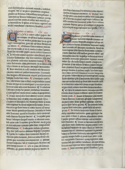 Folio Fourteen from Burchard of Sion’s De locis ac mirabilibus mundi, or an Illuminated Geography, c. 1460, French (Paris), written by Burchard of Mount Sion (German, active 13th century), France, Folio from a partial manuscript with decorated letters and other decorations in tempera and gold leaf, and with Latin inscriptions in black and brown ink, ruled in light brown ink, on vellum, 500 × 390 mm (average)