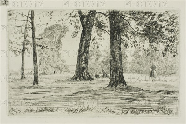 Greenwich Park, 1859, James McNeill Whistler, American, 1834-1903, United States, Etching with foul biting in black ink on cream laid paper, 128 x 205 mm (plate), 266 x 364 mm (sheet)
