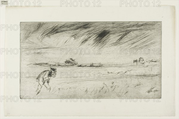 The Storm, 1861, James McNeill Whistler, American, 1834-1903, United States, Drypoint in black ink on ivory laid paper, 156 x 286 mm (plate), 224 x 344 mm (sheet)