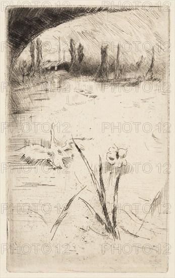 Sketch after Cecil Lawson’s Swan and Iris, 1882, James McNeill Whistler, American, 1834-1903, United States, Etching and drypoint with foul biting in black ink on cream Japanese paper, 135 x 84 mm (plate), 212 x 146 mm (sheet)