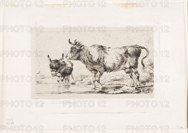 The Cow and Ass, 1849, Charles Meryon (French, 1821-1868), after Philip Jacques de Loutherbourg (French, 1740-1812), France, Etching on buff chine, laid down on ivory wove paper, 65 × 120 mm (image), 100 × 133 mm (plate), 73 × 126 mm (primary support), 130 × 184 mm (secondary support)