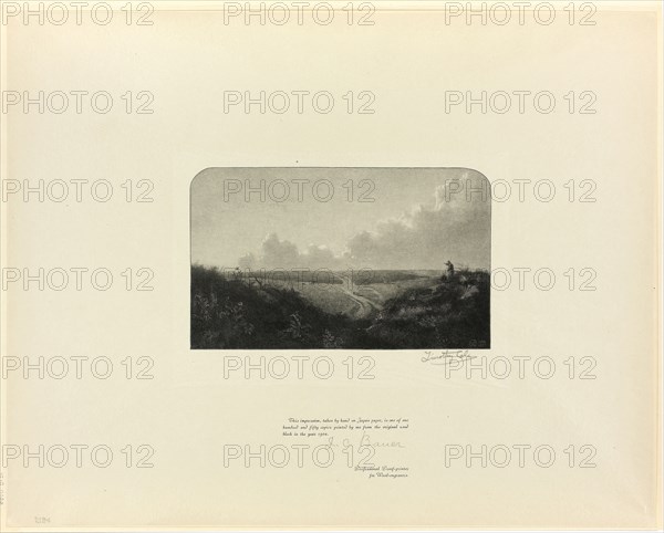 Mousehold Heath, from Old English Masters, 1899, printed 1902, Timothy Cole (American, born England, 1852-1931), after John Crome (English, 1768-1821), United States, Wood engraving on chine paper, 435 x 345 mm (sheet)