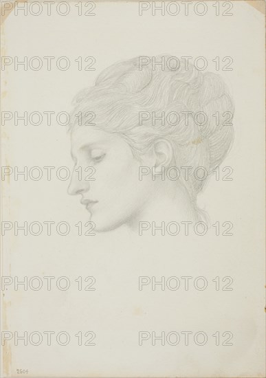 Woman’s Head in Profile to Left, c. 1873–77, Sir Edward Burne-Jones, English, 1833-1898, England, Graphite on ivory wove paper, 253 × 178 mm