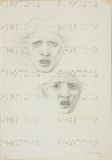 Head of Medusa, two studies for Rondanini Medusa, c. 1873–77, Sir Edward Burne-Jones, English, 1833-1898, England, Graphite on ivory wove paper, 253 × 178 mm