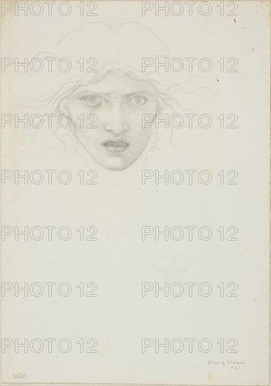 Study for Rondanini Medusa, c. 1873–77, Sir Edward Burne-Jones, English, 1833-1898, England, Graphite on ivory wove paper, 253 × 178 mm