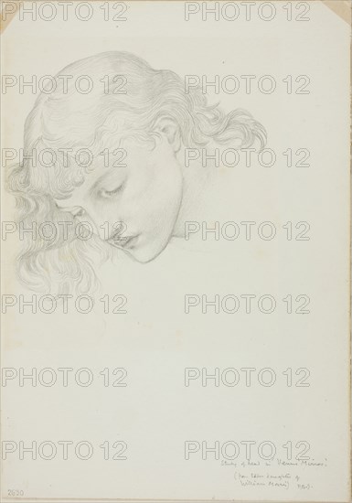 Head, Study for Mirror of Venus, c. 1873–77, Sir Edward Burne-Jones, English, 1833-1898, England, Graphite on ivory wove paper, 253 × 178 mm