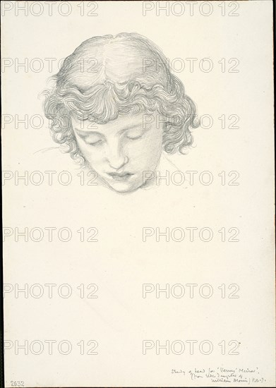 Study for Mirror of Venus: Head, c. 1873–77, Sir Edward Burne-Jones, English, 1833-1898, England, Graphite on ivory wove paper, 254 × 178 mm