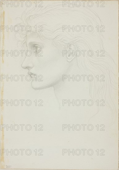 Head of Girl Facing Left, c. 1873–77, Sir Edward Burne-Jones, English, 1833-1898, England, Graphite on ivory wove paper, 253 × 178 mm