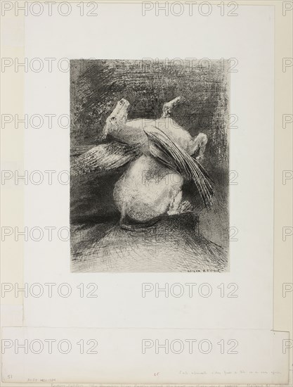 The Impotent Wing Did Not Lift the Animal Into That Black Space, plate 7 of 8 from Les Origines, 1883, Odilon Redon, French, 1840-1916, France, Lithograph in black on light gray China paper, laid down on white wove paper, 295 × 222 mm (image/chine), 522 × 345 mm (sheet)