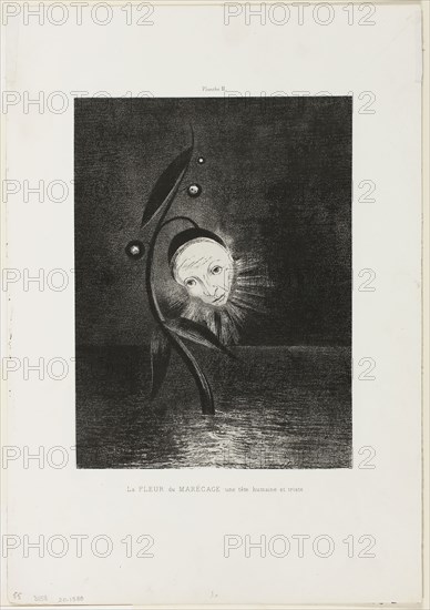 The Marsh Flower, a Sad Human Head, plate 2 of 6, 1885, Odilon Redon, French, 1840-1916, France, Lithograph in black on ivory China paper laid down on ivory wove paper, 272 × 202 mm (image/chine), 441 × 306 mm (sheet)