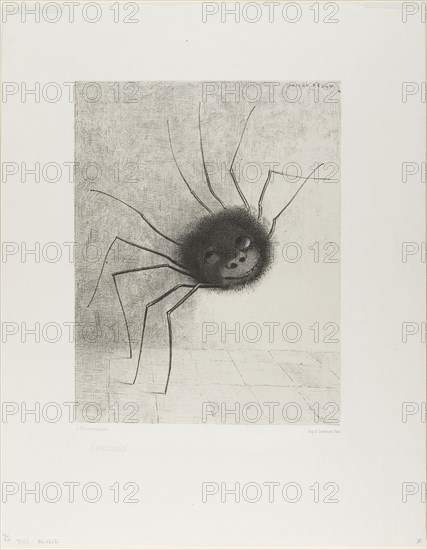 Spider, 1887, Odilon Redon, French, 1840-1916, France, Lithograph in black on cream China paper laid down on ivory wove paper, 280 × 217 mm (image/chine), 440 × 350 mm (sheet)