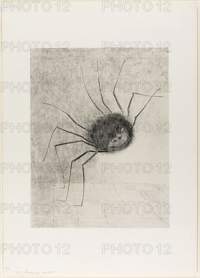 Spider, 1887, Odilon Redon, French, 1840-1916, France, Lithograph in black on light gray China paper laid down on white wove paper, 293 × 224 mm (image), 290 × 226 mm (chine), 439 × 315 mm (sheet)