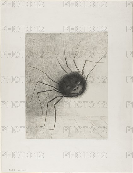 Spider, 1887, Odilon Redon, French, 1840-1916, France, Lithograph on ivory China paper laid down on ivory wove paper, 330 × 270 mm (chine), 447 × 348 mm (sheet)