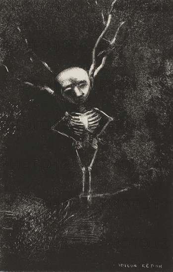 In the Maze of Branches, the Pale Figure Appeared, plate 2 of 7, 1887, Odilon Redon, French, 1840-1916, France, Lithograph in black on ivory China paper laid down on white wove paper, 154 × 98 mm (image/chine), 427 × 306 mm (sheet)