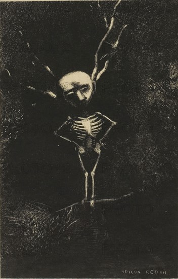 In the Maze of Branches, the Pale Figure Appeared, plate 2 of 7, 1887, Odilon Redon, French, 1840-1916, France, Lithograph in black on cream Japanese paper, 153 × 99 mm (image), 267 × 234 mm (sheet)