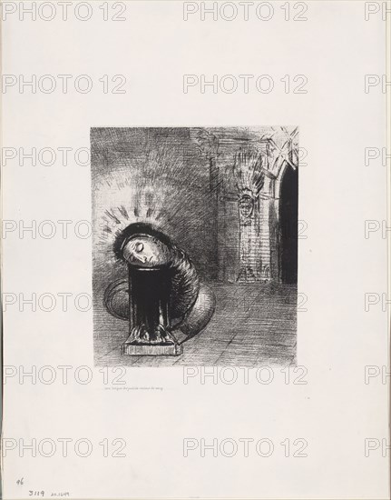 A Long Chrysalis, the Color of Blood, plate 2 of 6, 1889, Odilon Redon, French, 1840-1916, France, Lithograph in black on ivory China paper laid down on ivory wove paper, 219 × 184 mm (image/chine), 445 × 349 mm (sheet)