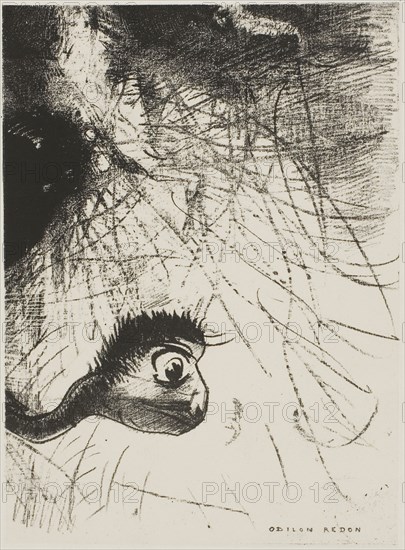 Saint Anthony: Somewhere there must be primordial shapes whose bodies are only images, plate 4 of 6, 1889, Odilon Redon, French, 1840-1916, France, Lithograph in black on ivory China paper laid down on ivory wove paper, 170 × 123 mm (image/chine), 450 × 342 mm (sheet)