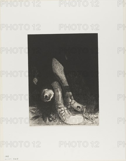 Flowers Fall and the Head of a Python Appears, plate 5 of 24, 1896, Odilon Redon, French, 1840-1916, France, Lithograph in black on cream China paper laid down on ivory wove paper, 259 × 198 mm (image), 263 × 199 mm (chine), 450 × 346 mm (sheet)