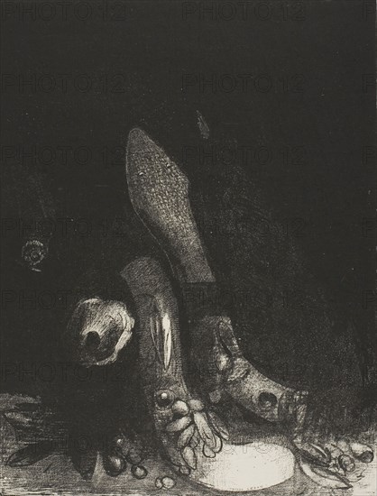 Flowers Fall and the Head of a Python Appears, plate 5 of 24, 1896, Odilon Redon, French, 1840-1916, France, Lithograph in black on ivory China paper laid down on ivory wove paper, 261 × 198 mm (image/chine), 453 × 348 mm (sheet)