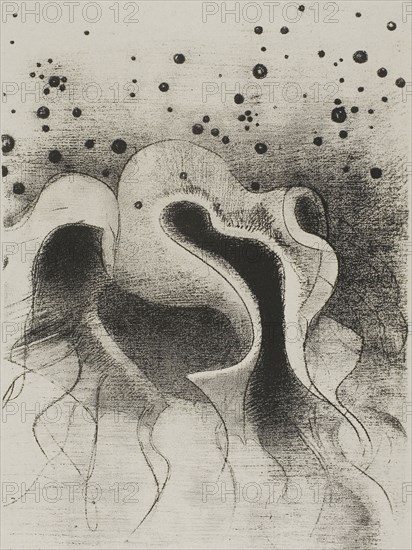The Beasts of the Sea, Round Like Leather Bottles, plate 22 of 24, 1896, Odilon Redon, French, 1840-1916, France, Lithograph in black on gray China paper laid down on ivory wove paper, 261 × 194 mm (image/chine), 455 × 349 mm (sheet)