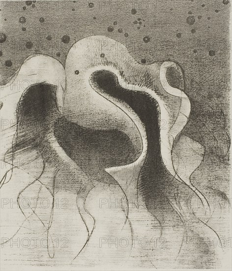 The Beasts of the Sea, Round Like Leather Bottles, plate 22 of 24, 1896, Odilon Redon, French, 1840-1916, France, Lithograph in black on light gray China paper laid down on ivory wove paper, 224 × 194 mm (image/chine), 453 × 347 mm (sheet)