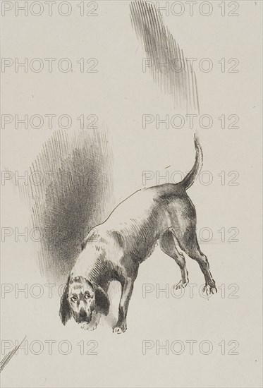 He [The Narrator’s Dog] Kept His Eyes Fixed on Me With a Look So Strange, plate 3 of 6, 1896, Odilon Redon, French, 1840-1916, France, Lithograph in black on light gray China paper laid down on ivory wove paper, 227 × 153 mm (chine), 429 × 316 mm (sheet)