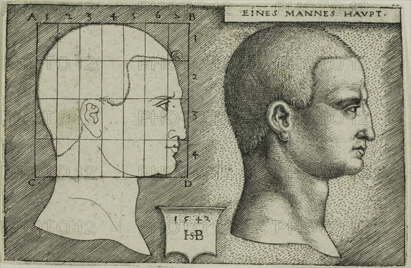 Profile Study of Man’s Head, 1542, Sebald Beham, German, 1500-1550, Germany, Engraving in black on ivory laid paper, 50 x 78 mm (image/plate), 51 x 79 mm (sheet)