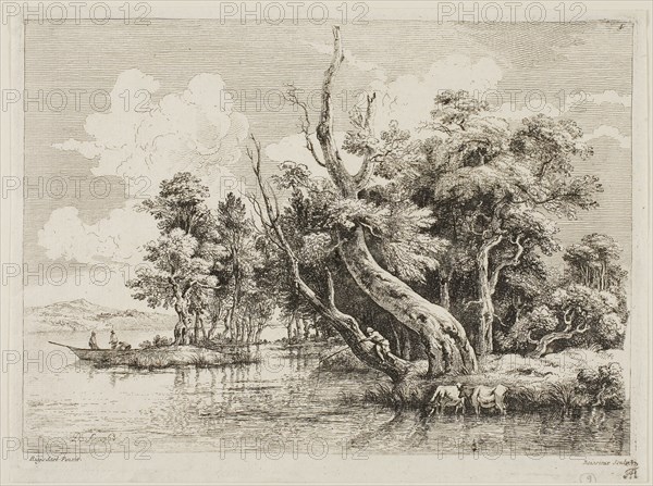 Clump of Trees near the Water, 1763, Jean Jacques de Boissieu (French, 1736-1810), after Jacob van Ruisdael (Dutch, 1628/29-1682), France, Etching on paper, 173 × 244 mm (image), 191 × 255 mm (sheet)
