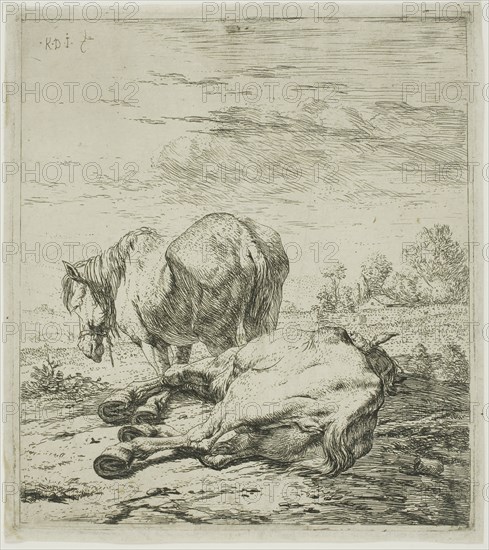 Two Horses, 1652–60, Karel Dujardin, Dutch, c. 1622-1678, Holland, Etching on paper, 150 x 136 mm (plate), 159 x 142 mm (sheet)