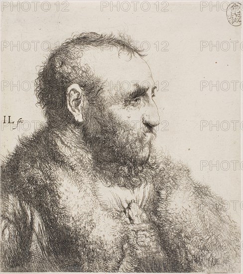 Bust of an Old Man, 1635–44, Jan Lievens, Dutch, 1607-1674, Holland, Etching on paper, 160 x 143 mm (image/sheet, trimmed within plate mark)