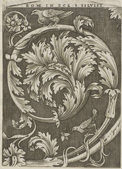 Foliage Ornament from Ancient Roman Church, c. 1530–35, Agostino dei Musi, Italian, c. 1490-after 1536, Italy, Engraving in black on ivory laid paper, 179 x 128 mm (image/sheet, trimmed to and within plate mark)