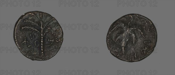 Coin Depicting a Palm Tree, AD 133/135, Roman, Roman Empire, Bronze, Diam. 2.5 cm, 12.16 g