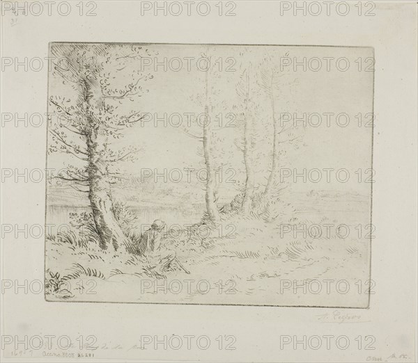 Along the Riverbank, c. 1885, Alphonse Legros, French, 1837-1911, France, Etching and drypoint on ivory laid paper, 175 × 215 mm (plate), 239 × 271 mm (sheet)