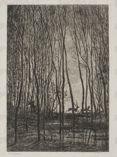 Stags in the Woods, 1850, Charles François Daubigny, French, 1817-1878, France, Etching on light gray chine laid down on white wove paper, 171 × 112 mm (image), 185 × 140 mm (plate), 442 × 314 mm (sheet)